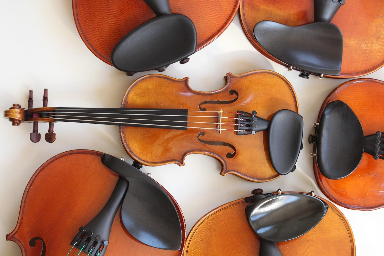 Verschiedene Kinnhalter an Streichinstrumenten