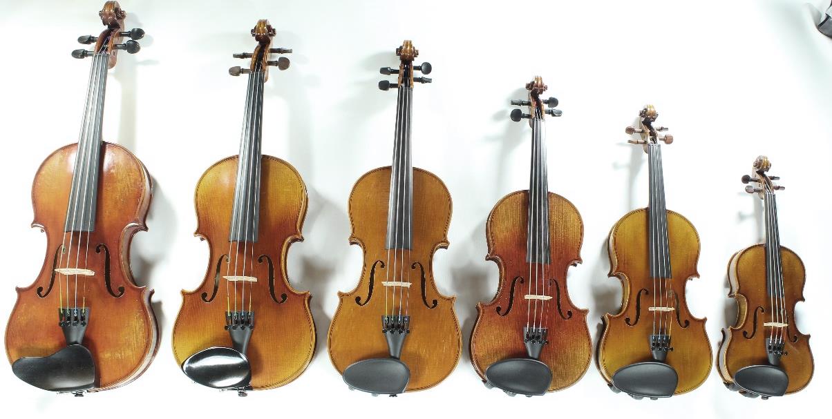 Mehrere Streichinstrumente in unterschiedlichen Grössen nebeneinander