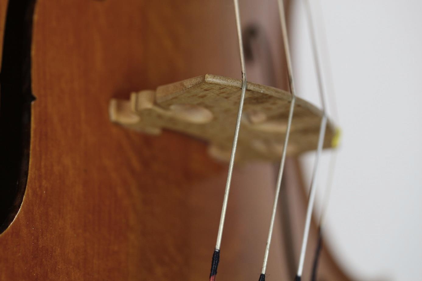 Detailaufnahme von Saiten und Steg eines Streichinstruments